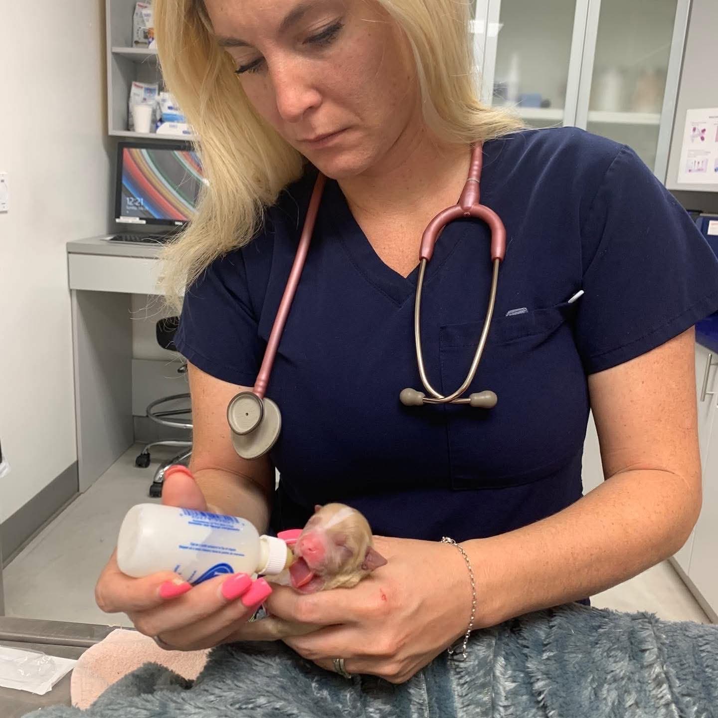 A clinic team member gently bottle-feeding a newborn animal