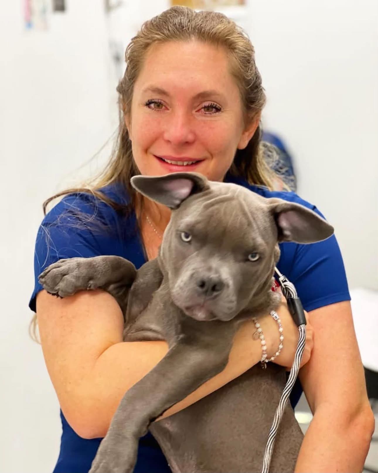 A member of the All Pets team holding a gray puppy